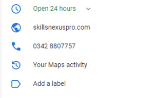 Image of Google My Business Profile details